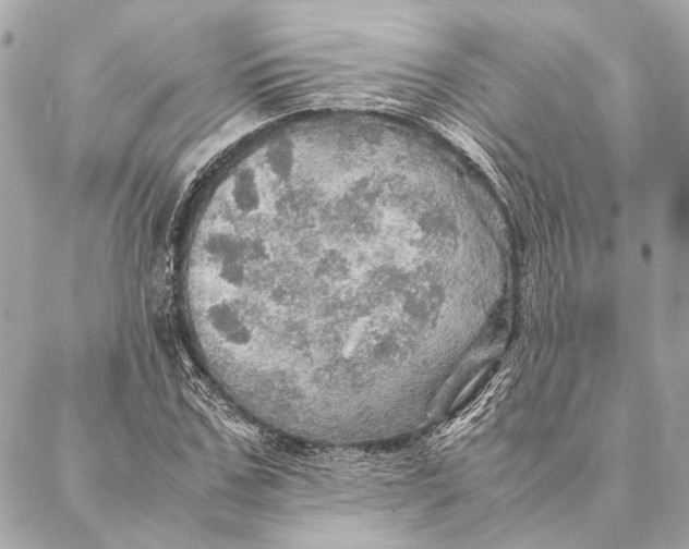 X0000086940971200705071414