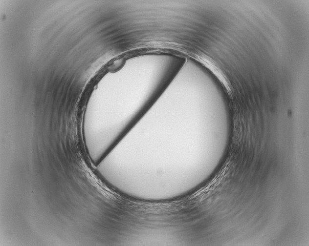 X0000086940972200705071414