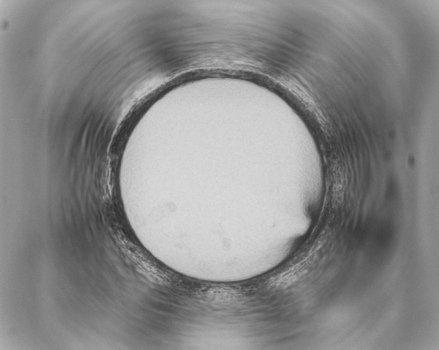 X0000086940974200705071414