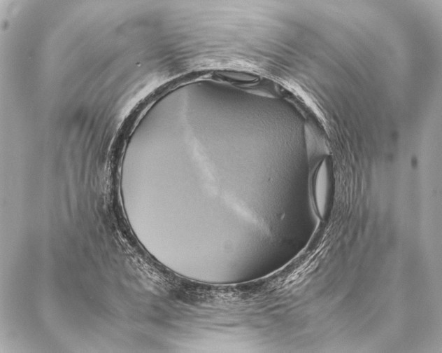 X0000086940975200705071414