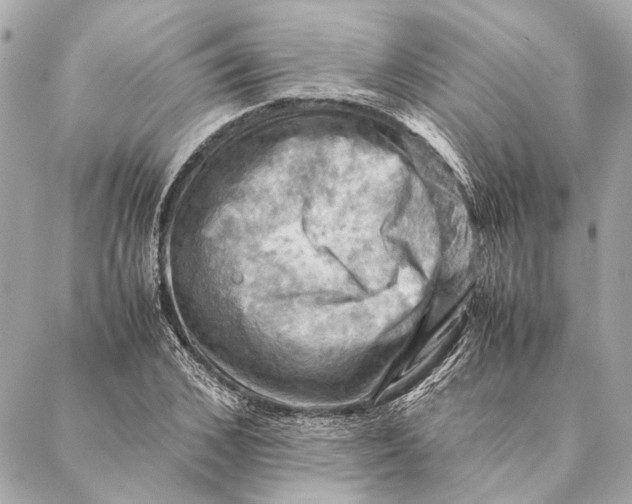 X0000086940976200705071414