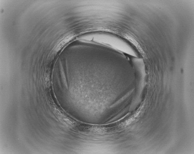 X0000086940977200705071414