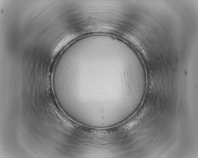 X0000086940978200705071414