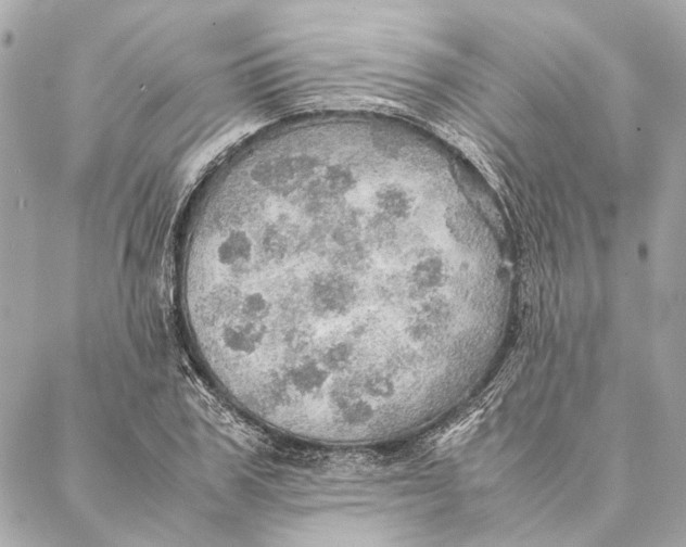 X0000086940979200705071414