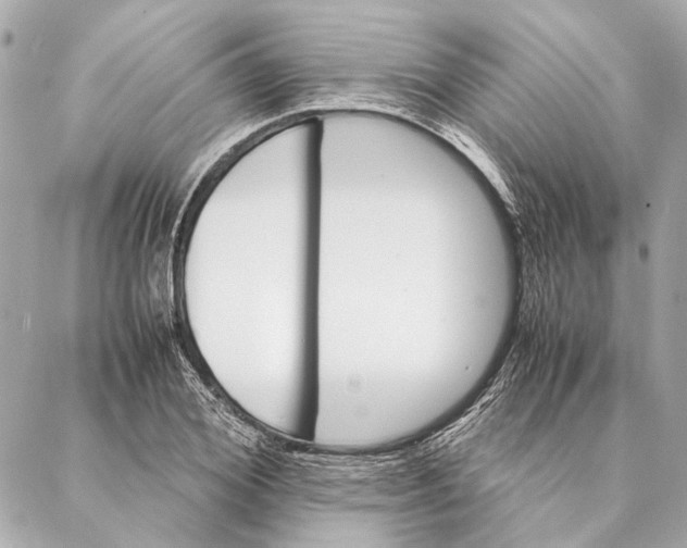 X0000086940980200705071414