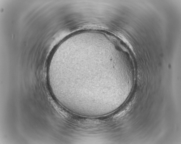 X0000086940981200705071414