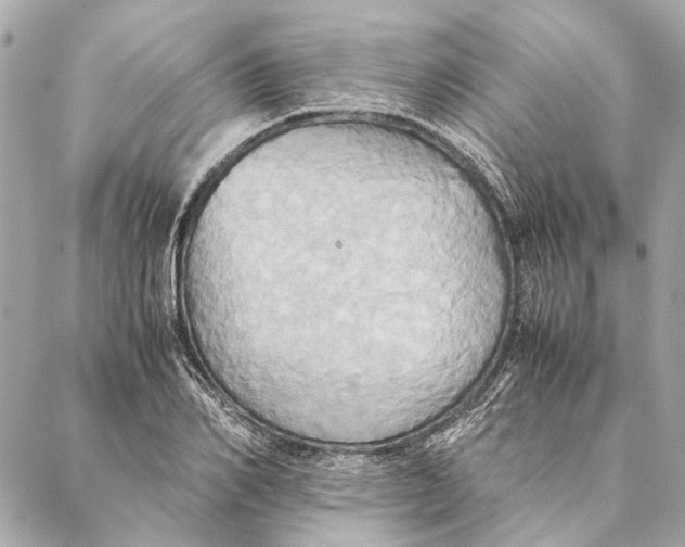 X0000086940982200705071414