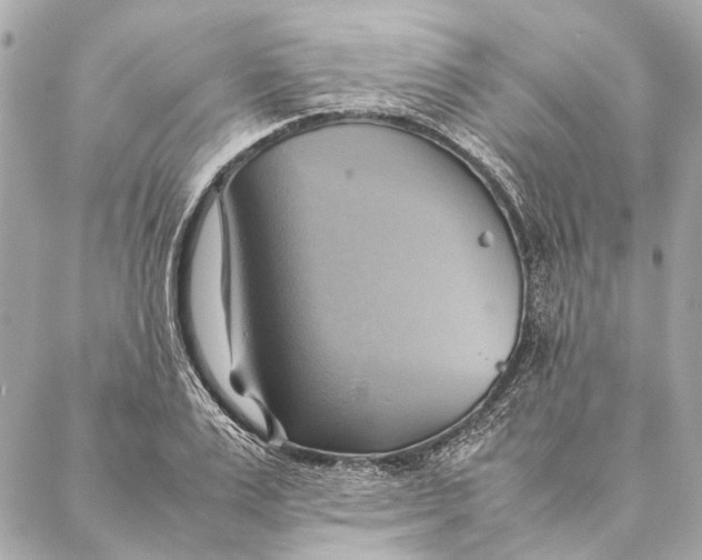 X0000086940983200705071414