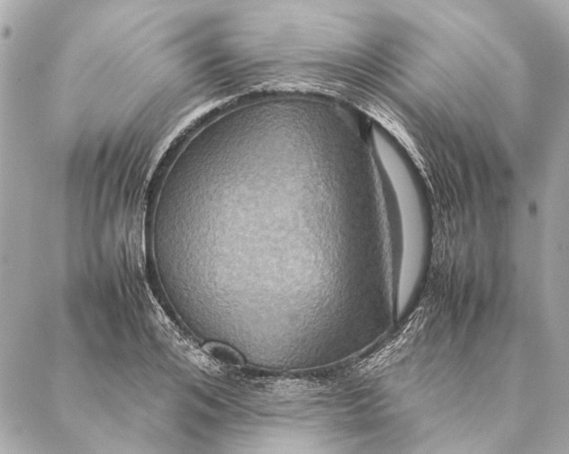 X0000086940984200705071414