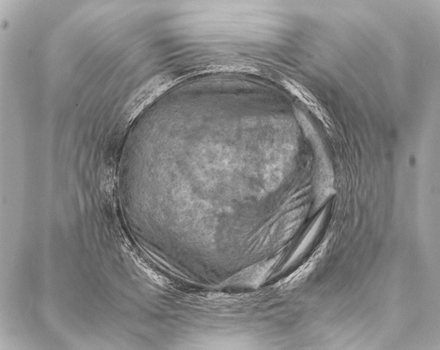 X0000086940985200705071414