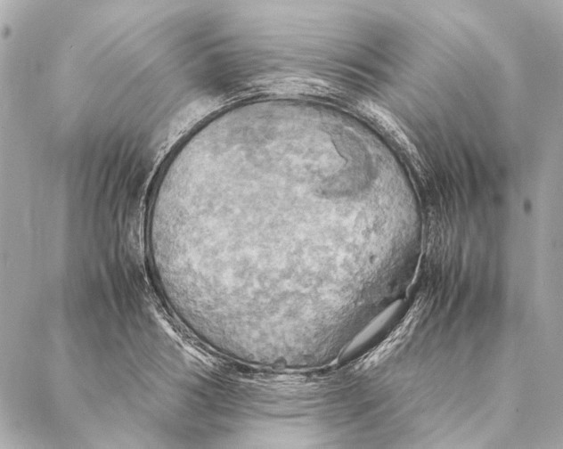 X0000086940986200705071414