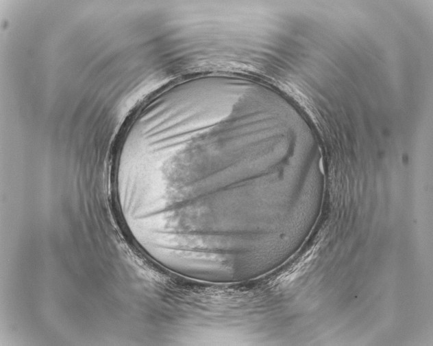 X0000086940987200705071414