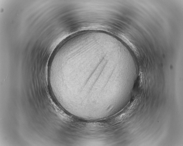 X0000086940988200705071414