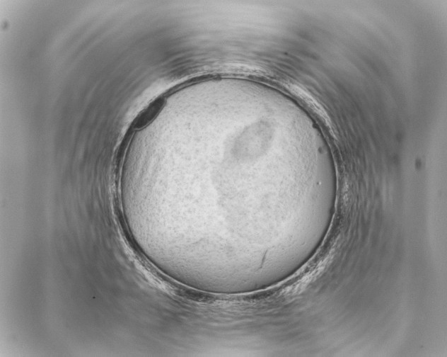 X0000086940989200705071414