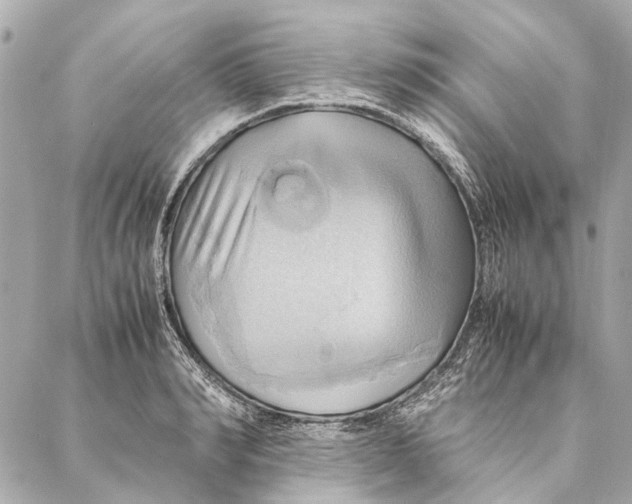 X0000086940990200705071413