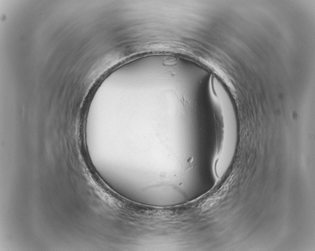 X0000086940991200705071413