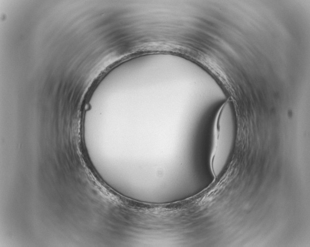 X0000086940992200705071413