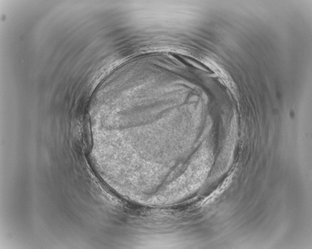 X0000086940993200705071413