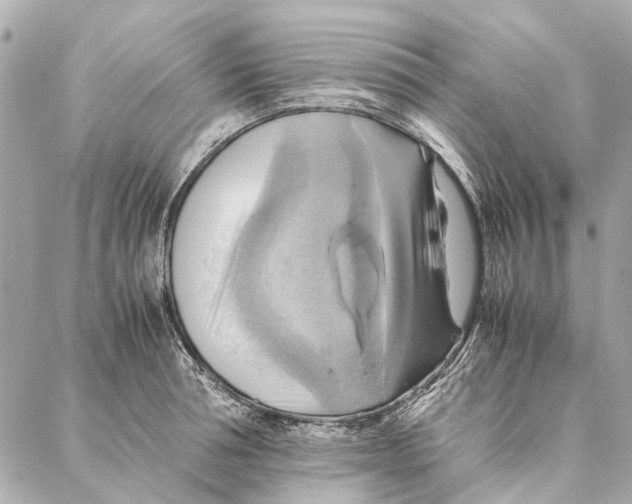 X0000086940994200705071413