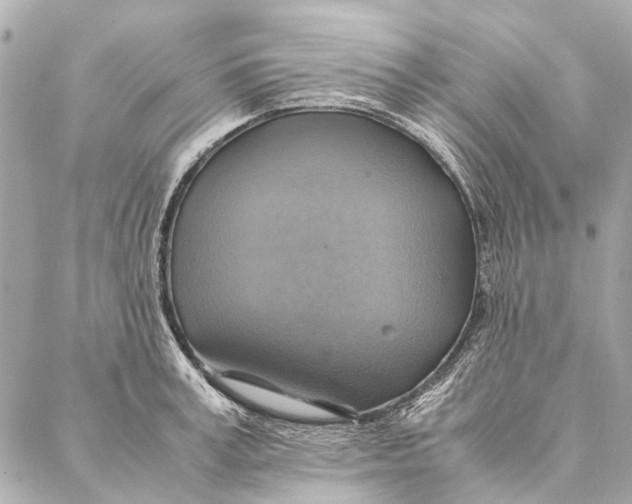 X0000086940995200705071413