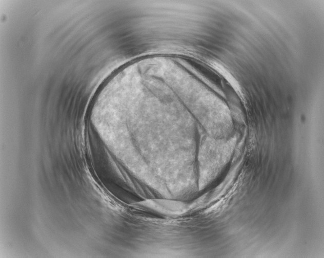 X0000086940996200705071413