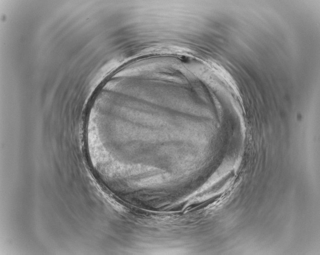 X0000086940997200705071413