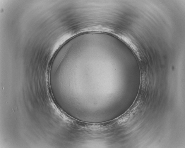 X0000086940998200705071413