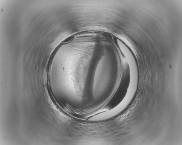 X0000086940999200705071413