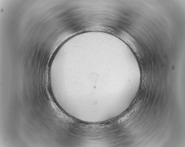 X0000086941000200705071413