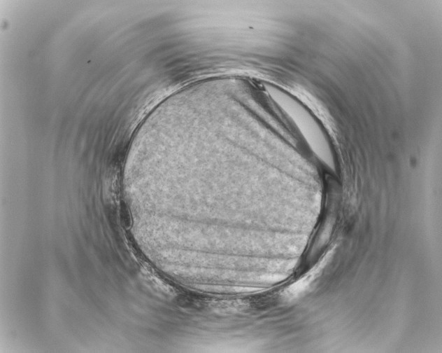 X0000086941001200705071413