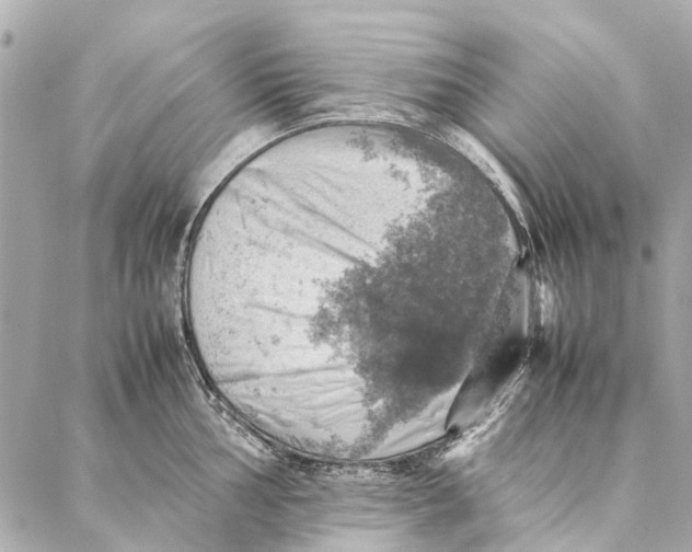 X0000086941002200705071413