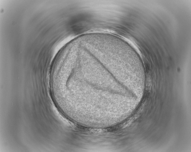 X0000086941003200705071413