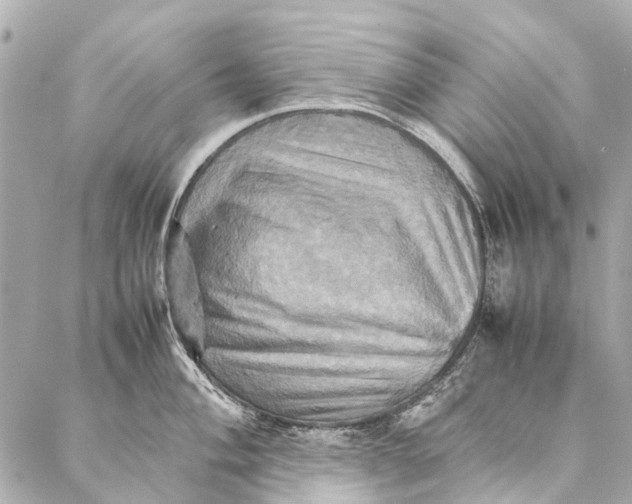 X0000086941004200705071413