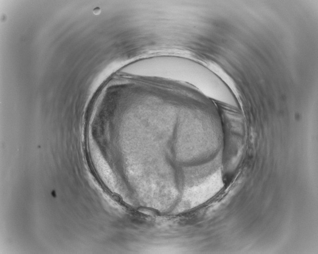 X0000086941005200705071413