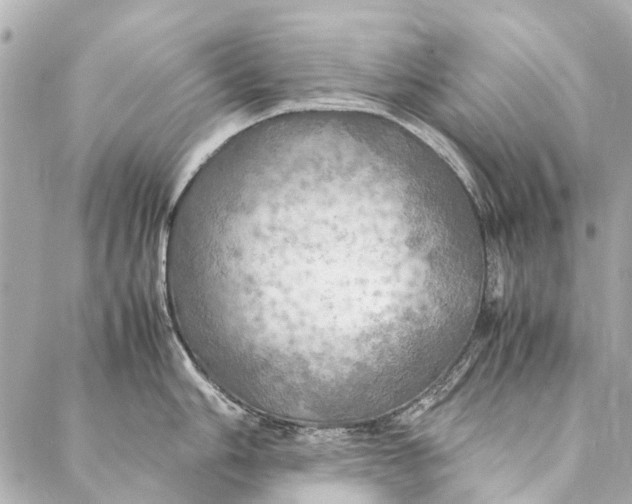 X0000086941006200705071413