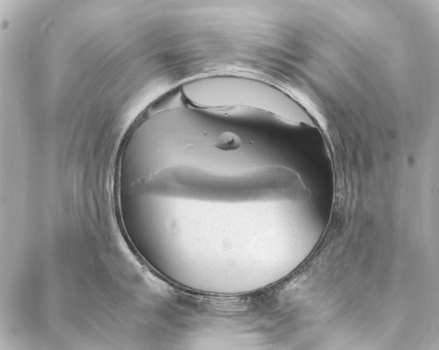 X0000086941007200705071413