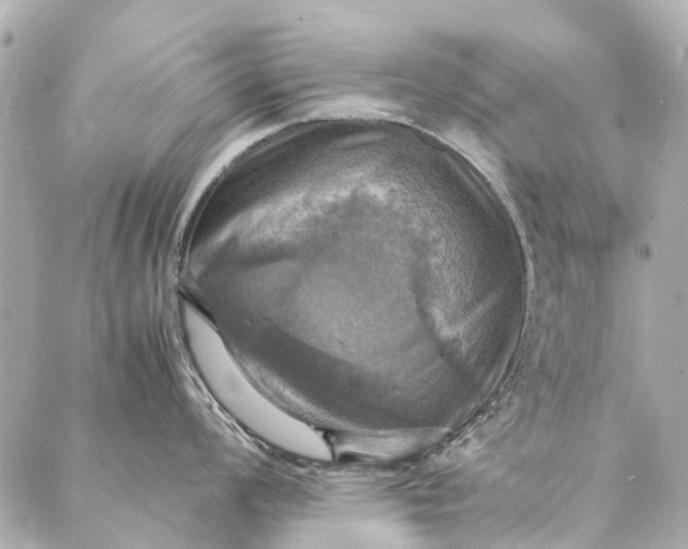 X0000086941008200705071413