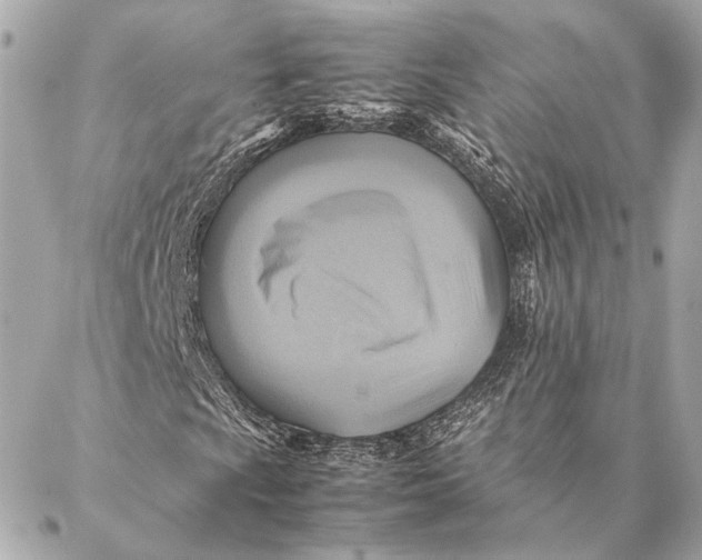 X0000086941009200705071412