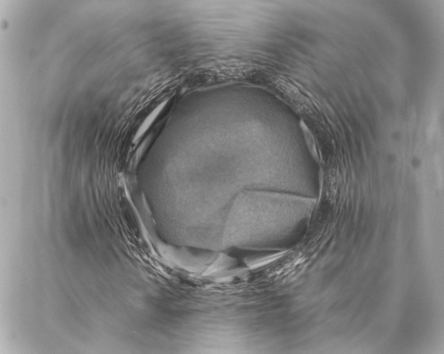 X0000086941010200705071412