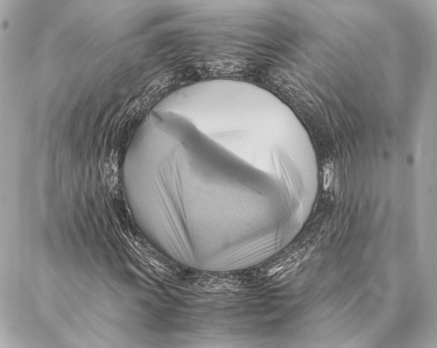 X0000086941011200705071412