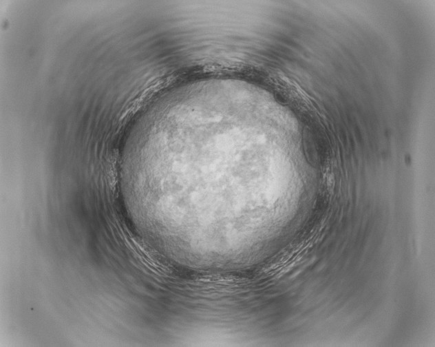 X0000086941012200705071412