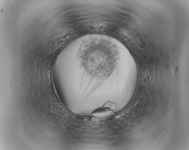 X0000086941013200705071412