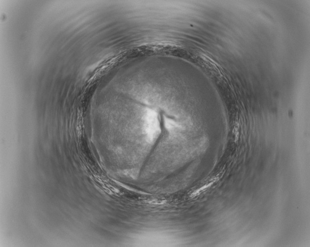 X0000086941014200705071412