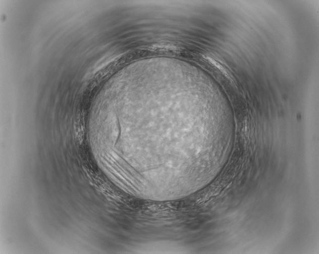 X0000086941015200705071413