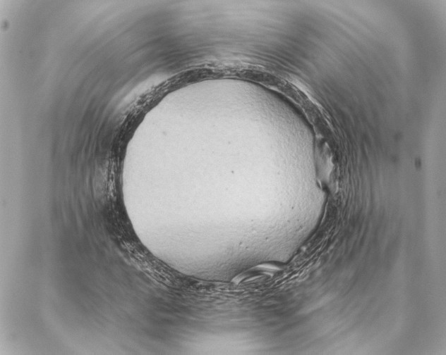 X0000086941016200705071413