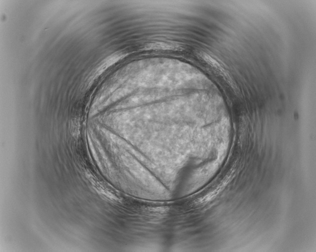 X0000086941017200705071413