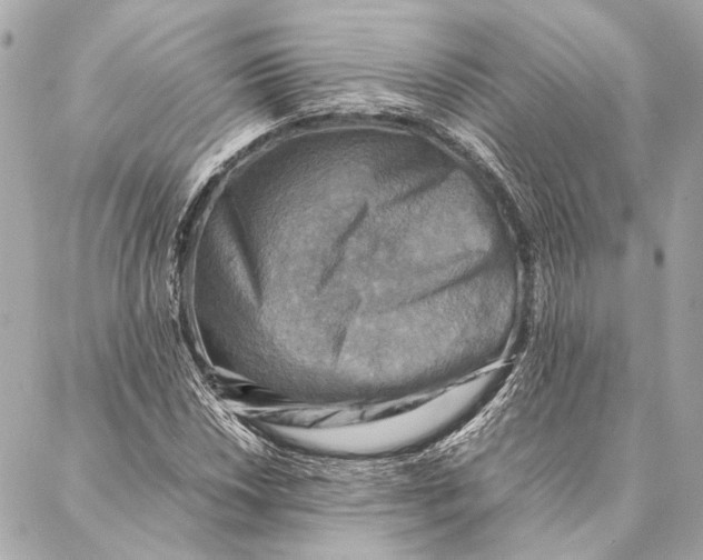 X0000086941018200705071413