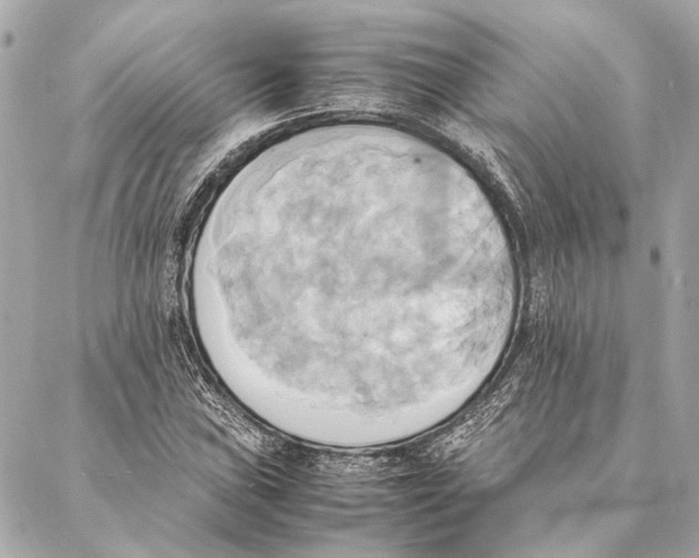 X0000086941019200705071413