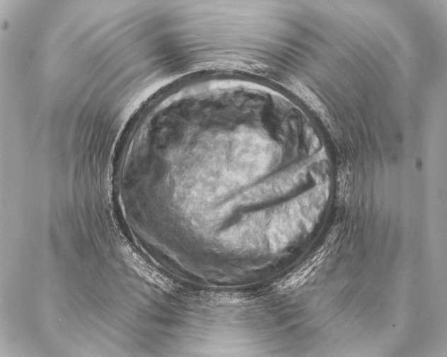 X0000086941020200705071413