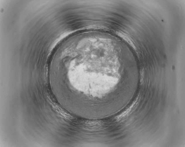 X0000086941021200705071413